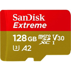 SANDISK Micro SD 128 Go Extreme V30 SDSQXAH128G