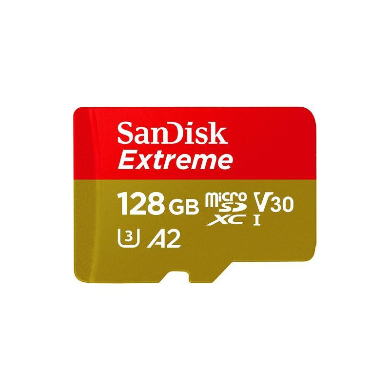 SANDISK Micro SD 128 Go Extreme V30 SDSQXAH128G