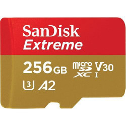 SANDISK Micro SD 256 Go Extreme V30 SDSQXAV256G