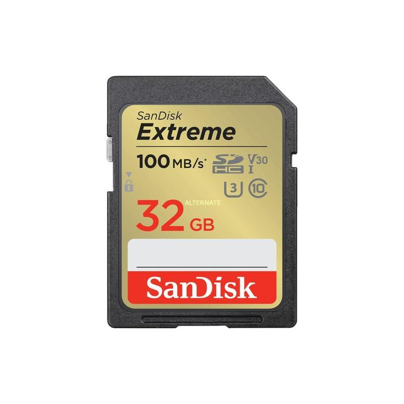 SANDISK Carte SD 32 Go Extreme V30 SDXVT032G