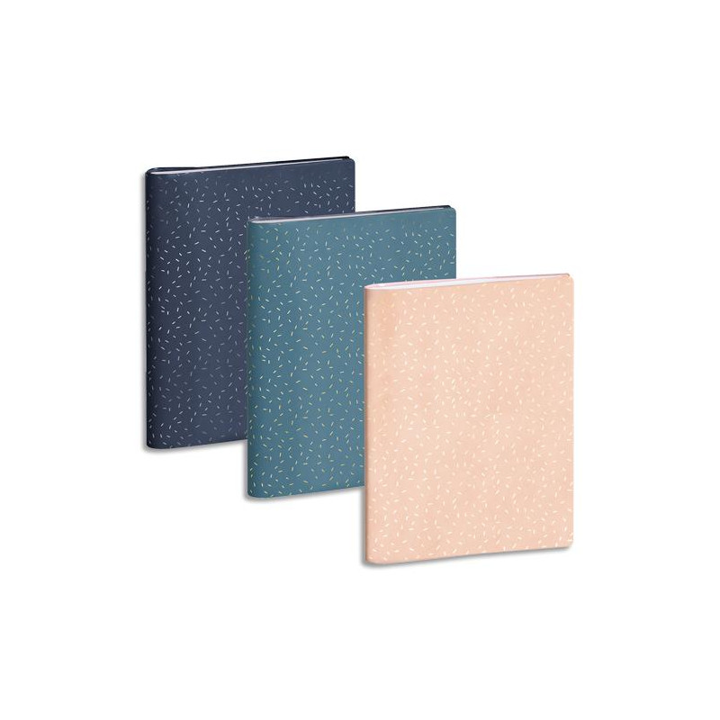 EXACOMPTA Semainier de bureau SAD 22S Méline,Septembre à Décembre 2025, 18,8x22,5 cm, coloris assortis
