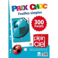 PLEIN CIEL Lot de 300 pages...