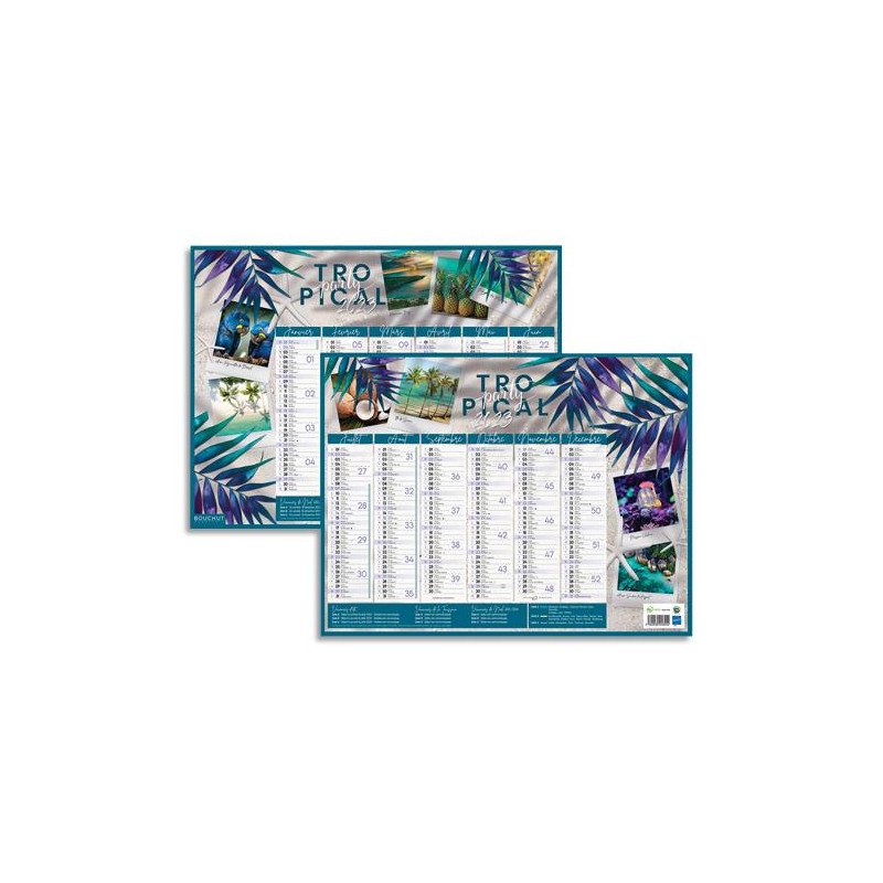 CBG Calendrier EXOTIQUE médium, 6 mois par face soit 12 mois, 32x42cm, 1 illet