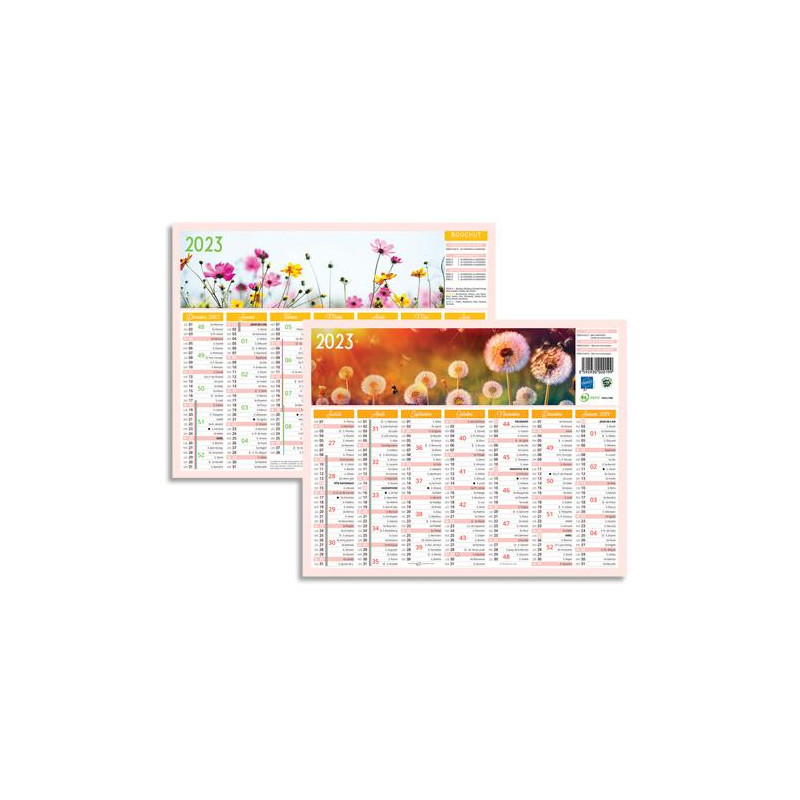 CBG Calendrier MINI FLEURS, 7 mois par face soit 14 mois, 21x26,5cm, 1 trou