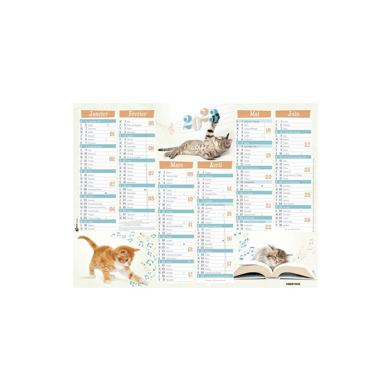 OBERTHUR Calendrier Chaton, 12 mois, 6 mois par face, PEFC, 57x41cm