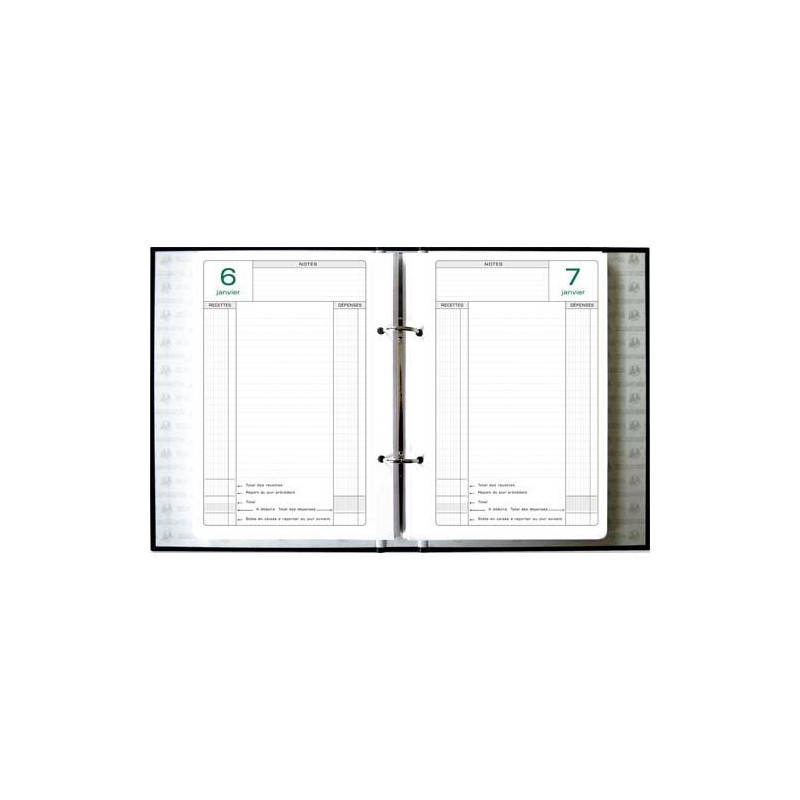 EXACOMPTA Recharge pour classeur Caisse perpétuel 1 jour par page,Janvier à Décembre 2025 - 16x24cm