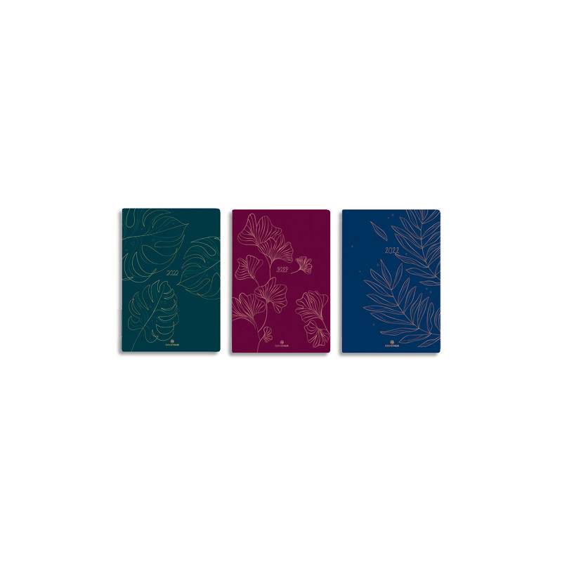 OBERTHUR Agenda Astoria, 1S/2P, format 9,5 x 17,5 cm, couverture imprimée quadri, 3 décors assortis