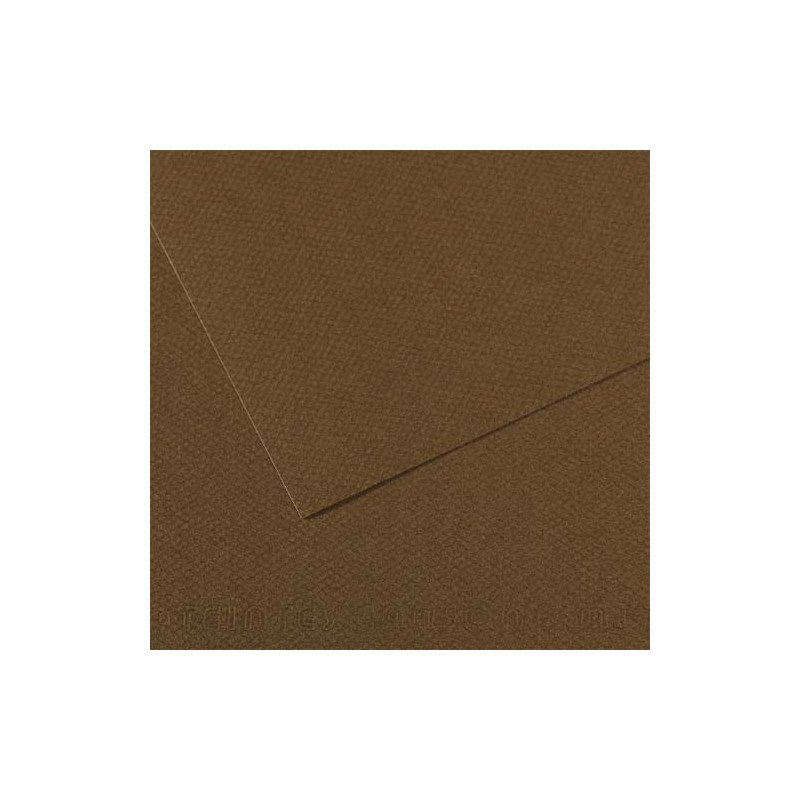 CANSON Manipack de 25 feuilles papier dessin MI-TEINTES 160g 50x65cm Marron fonçé