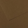 CANSON Manipack de 25 feuilles papier dessin MI-TEINTES 160g 50x65cm Marron fonçé