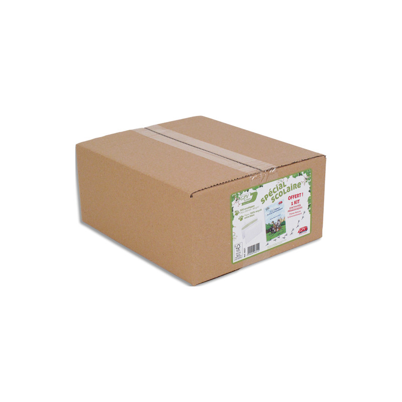 GPV Boîte de 500 enveloppes blanches recyclées 100% DL 110x220 80 g/m² bande de protection Kit Epopia