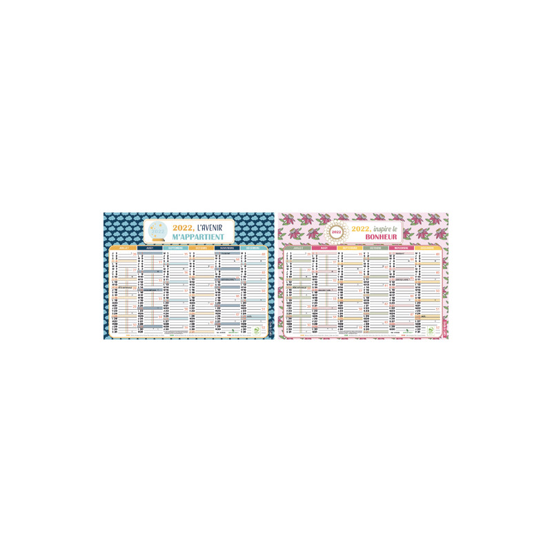 EXACOMPTA Calendrier semestriel, 6 mois par face, illustration Dodo and Cath - format 17,5 x 23,5 cm