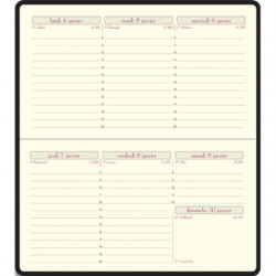 EXACOMPTA Semainier Temporel 16, Janvier à Décembre 2025, 16x8,5cm PVC assortis