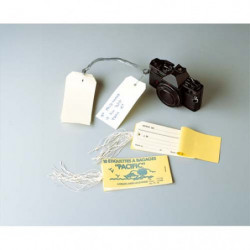 AVERY Carnet 10 étiq bagage 12x6,6 cm.illet renforcé+attache ficelle.Pré-imprimé Envoi de/Destinataire