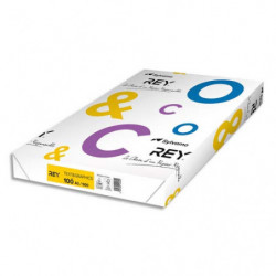 INAPA Ramette 500 feuilles papier TEXT & GRAPHICS A3 100g CIE 170 haute Blancheur très satiné