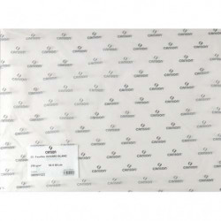 CANSON Feuille de papier buvard 250g 50x65cm Blanc Ref-91123