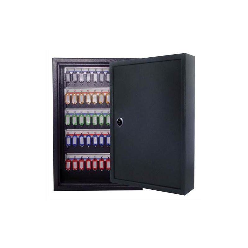 PAVO Armoire à clés 300 clés, serrure à clés 2 fournies - Dimensions : L55 x H38 x P20 cm Gris foncé
