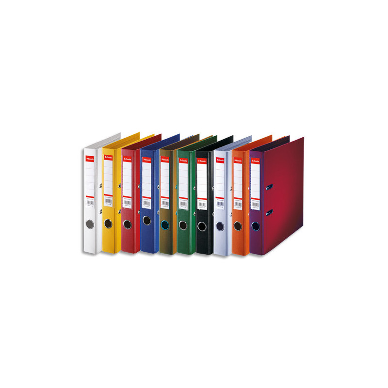 ESSELTE Classeur à levier Standard, A4, 5 cm, PP, assorti de couleurs