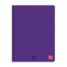 PLEIN CIEL Cahier piqûre 21x29,7cm 96 pages grands carreaux Seyès 90g. Couverture polypro Violet