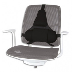 FELLOWES Support dorsal...