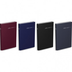 LECAS Agenda carré euros cents, Janvier à Décembre 2025, 1 jour par page, 14x22cm, Assortis