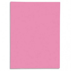 EXACOMPTA Paquet de 50 chemises 1 rabat SUPER 250 en carte 210 grammes Rose