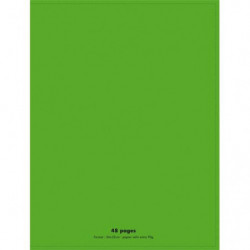 CONQUERANT C9 Cahier piqûre 24x32cm 48 pages 90g grands carreaux Seyès. Couverture polypropylène Vert