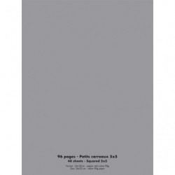 Cahier piqûre 24x32cm 96 pages 90g quadrillé 5x5. Couverture polypropylène Gris