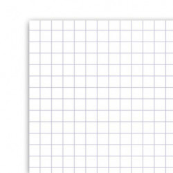 CLAIREFONTAINE Cahier TP piqûre 60 pages grands carreaux Seyès+60 pages unies 21x29,7cm. Couverture carte