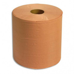 Lot de 2 Bobines d'essuyage 800 formats chamois 2 plis gaufrée - Format : 30 x 21 cm