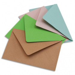 BONG Paquet de 200 enveloppes élection 75g non gommée format 9x14cm.Coloris assortis Bleu/bulle/rose/vert