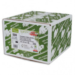 GPV Boîte 500 enveloppes...