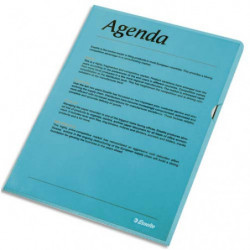 ESSELTE Boîte de 100 pochettes-coin Copy Safe Bleu en polypropylène 11/100e