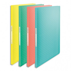 ESSELTE Colour'Breeze Porte-vues, 60 pochettes, A4, assorti de couleurs, 626234