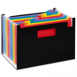VIQUEL Trieur Seatcase...