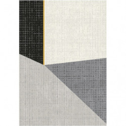 PAPERFLOW Tapis Canvas en polypropylène multicolore, tissage velours, L160 x H0,75 x P230 cm