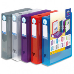 VIQUEL Boîte de classement personnalisable PROPYGLASS dos 6cm, PP 8/10e. Coloris translucides assortis
