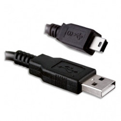 APM Câble USB 2.0 A/Mini USB Mâle/Mâle 1,8m Noir 570308