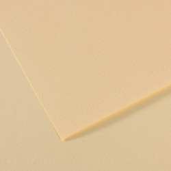 CANSON Feuille MI-TEINTES® 50X65 160g ivoire 111