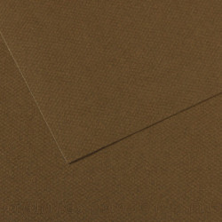 CANSON Feuille MI-TEINTES® 50X65 160g marron foncé 501