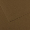 CANSON Feuille MI-TEINTES® 50X65 160g marron foncé 501
