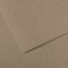 CANSON Feuille MI-TEINTES® 50X65 160g gris chiné 431