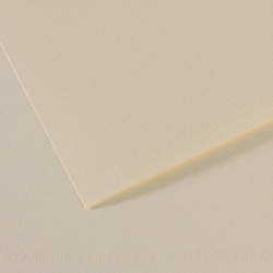 CANSON Feuille MI-TEINTES® 50X65 160g lys 110