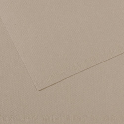 CANSON Feuille MI-TEINTES® 50X65 160g gris flanelle 122