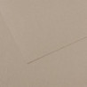 CANSON Feuille MI-TEINTES® 50X65 160g gris flanelle 122
