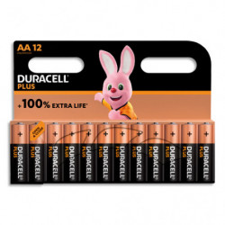 DURACELL Piles alcalines AA Plus 100%, 1,5V LR6 MN1500, lot de 12 piles