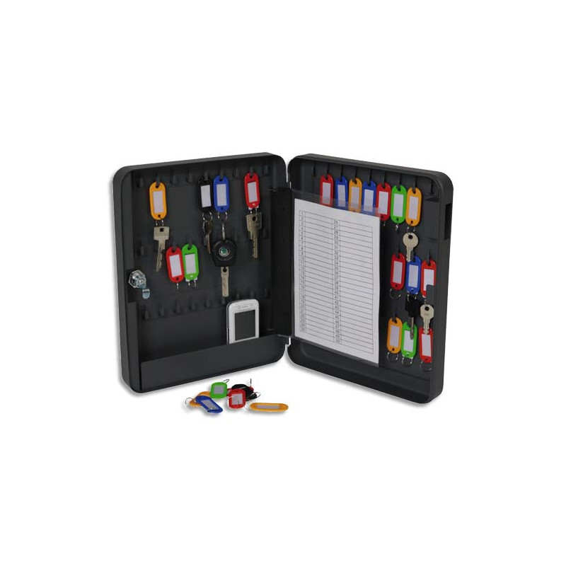PAVO Armoire à clés serrure clé capacité 54 clés - Dimensions : L24 x H30 x P6 cm coloris Gris foncé