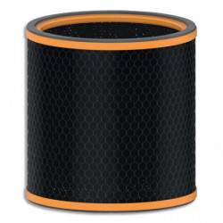 LEITZ Trusens Filtre à Charbon de Rechange, anti-odeur et anti C.O.V, pour Z-3000, 2415126