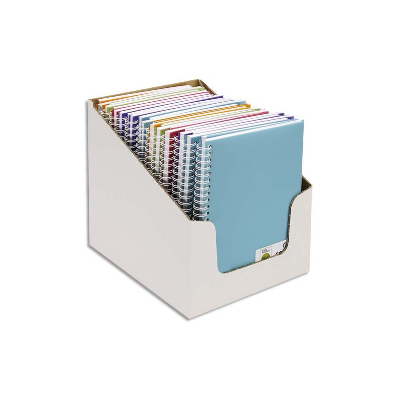 CANSON Carnets de notes 100 pages 120g 14,8x21cm 5 couleurs assorties. Couverture PP(en boîte présentoir)