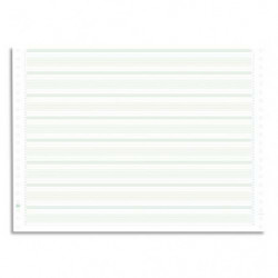 EXACOMPTA Boîte 2000 feuilles listing 70g standard zoné vert 380x11 1 pli bande Caroll non détachable