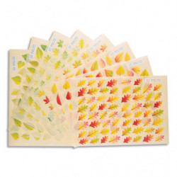 CLEOPATRE Pochette de 8 planches de gommettes feuilles des arbres : 4 types de feuilles, deux saisons.